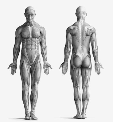 Orthopedie & Traumatologie.